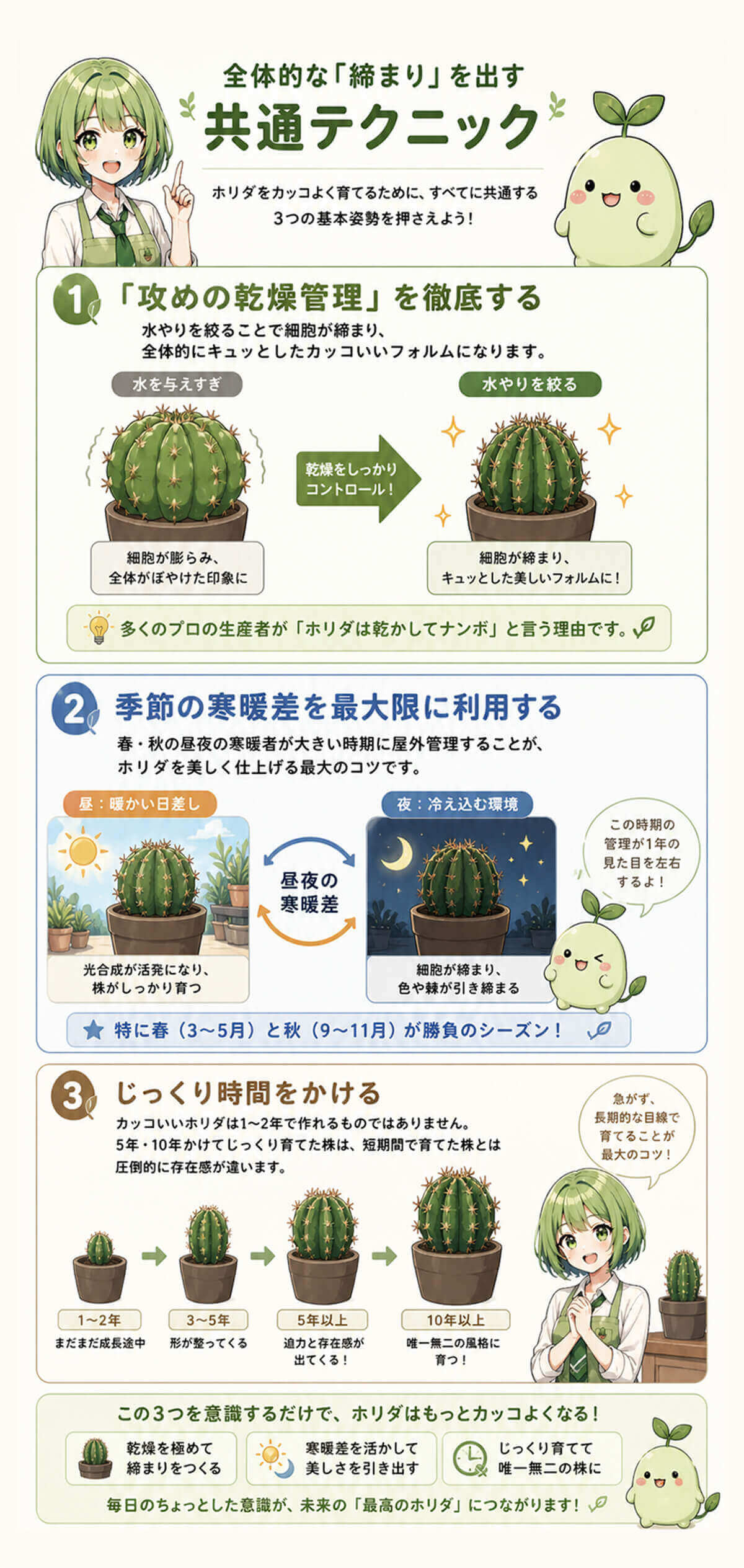 ユーフォルビアホリダの締まりを出す共通テクニック