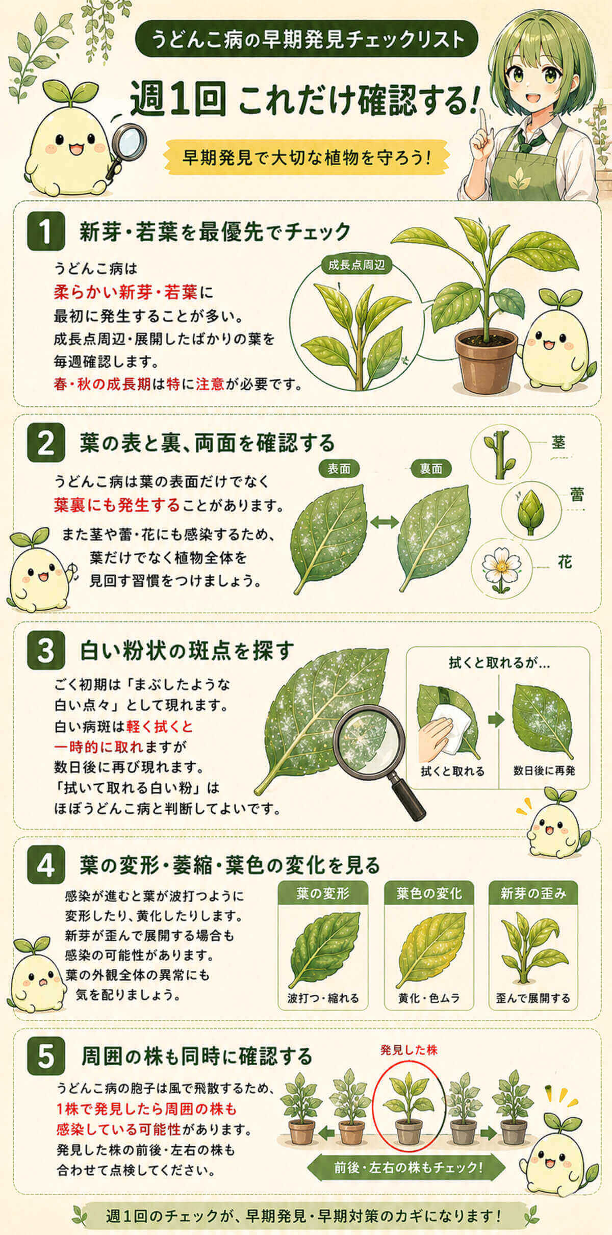 うどんこ病の早期発見チェックリスト