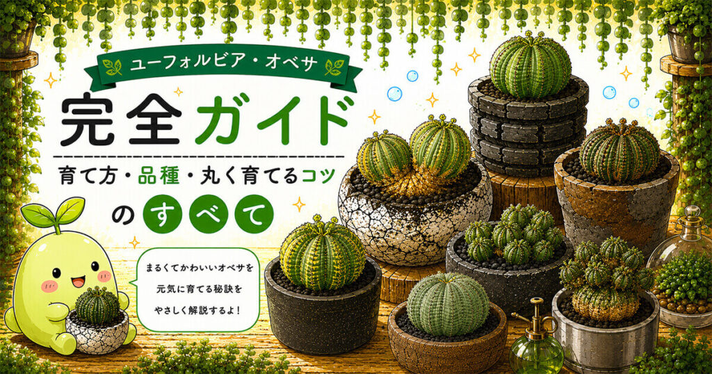 ユーフォルビア・オベサ完全ガイド｜育て方・品種・丸く育てるコツのすべて