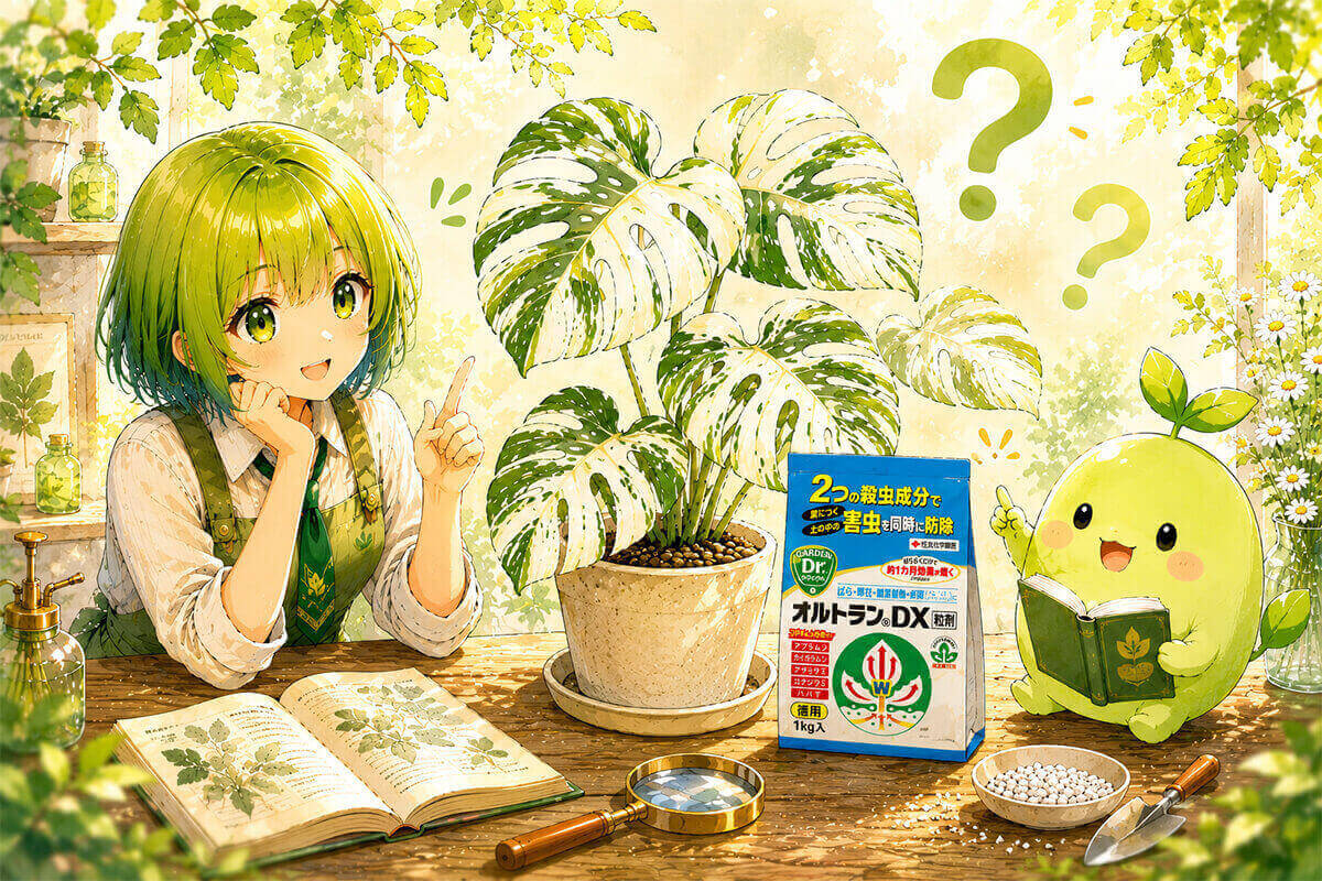オルトランのよくある質問(FAQ)