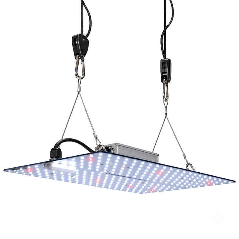 HaruDesign GL-BOARD3400 PRO