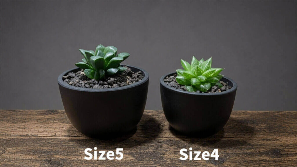 ハオルチアに合う鉢 Maceta Plastic Pot BowlMid