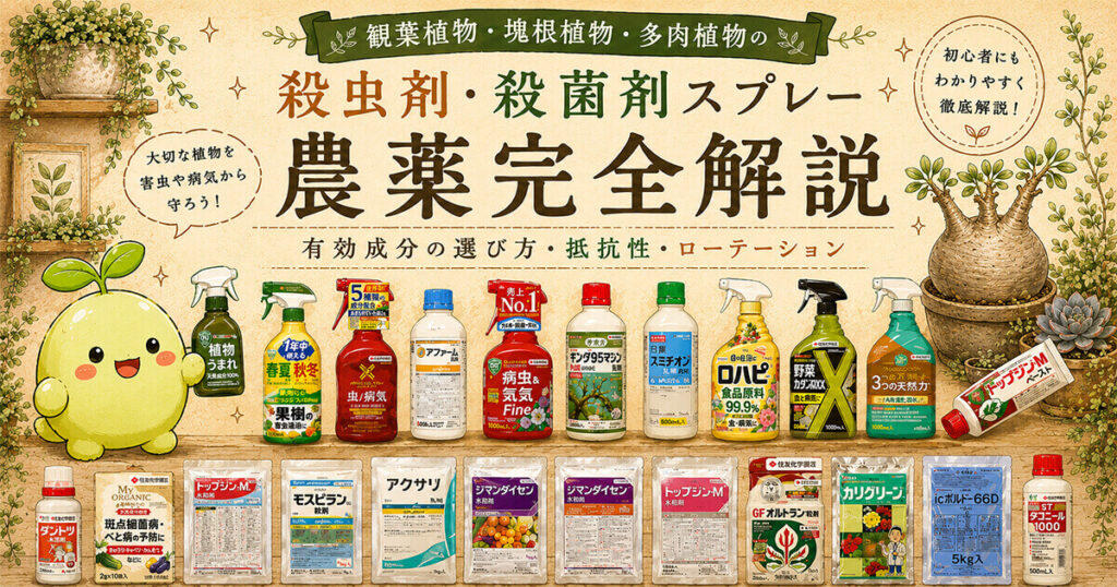 観葉植物・塊根植物・多肉植物向けの殺虫剤・殺菌剤・農薬を比較解説したサムネイル。ベニカXネクスト、ロハピ、オルトラン、トップジンMなど主要薬剤を一覧で紹介