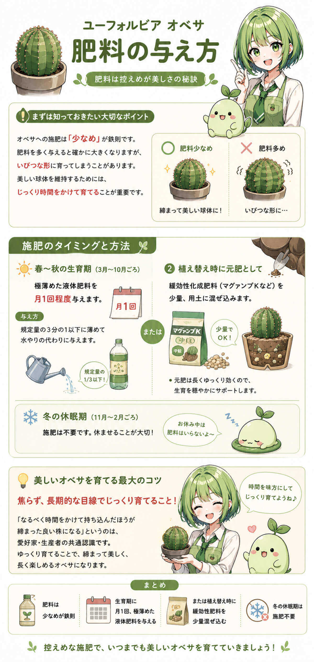 オベサの肥料の与え方