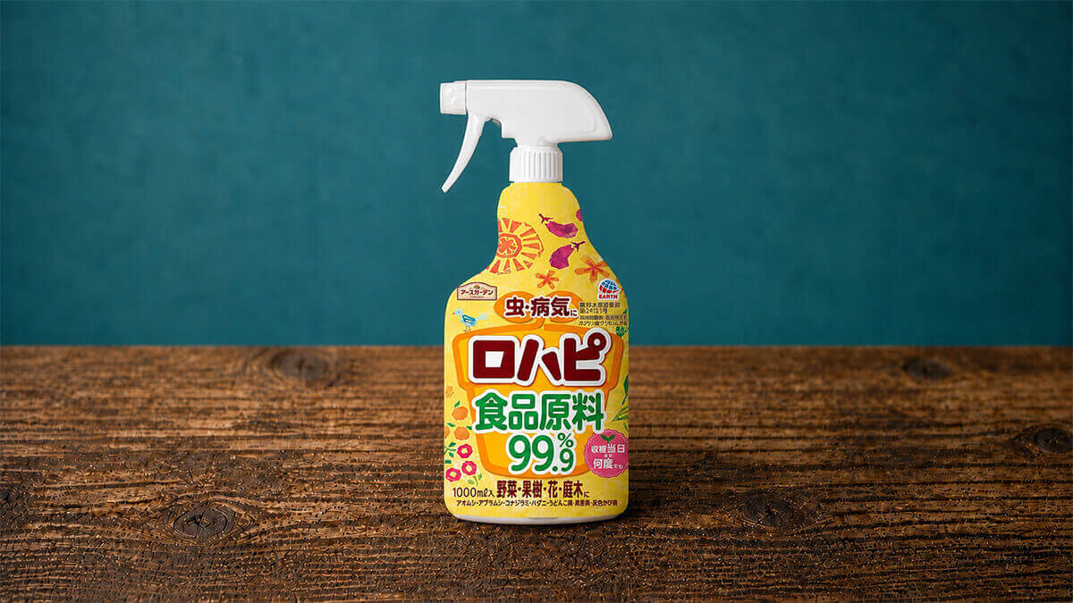 ロハピ