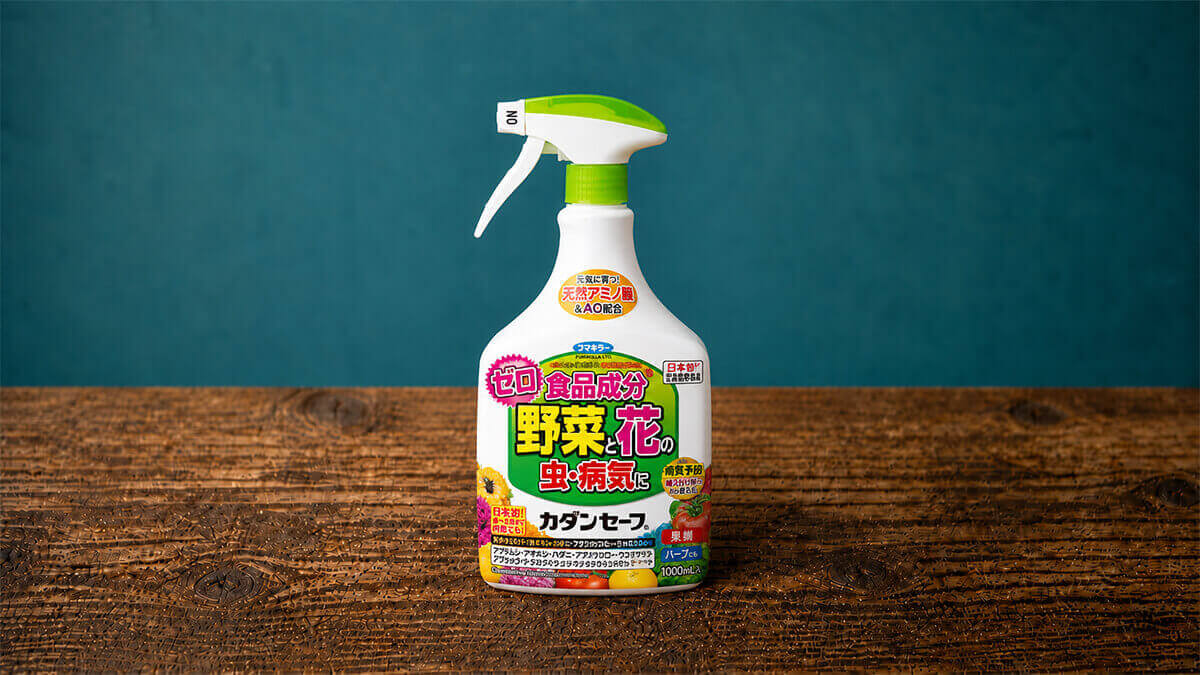 カダンセーフ