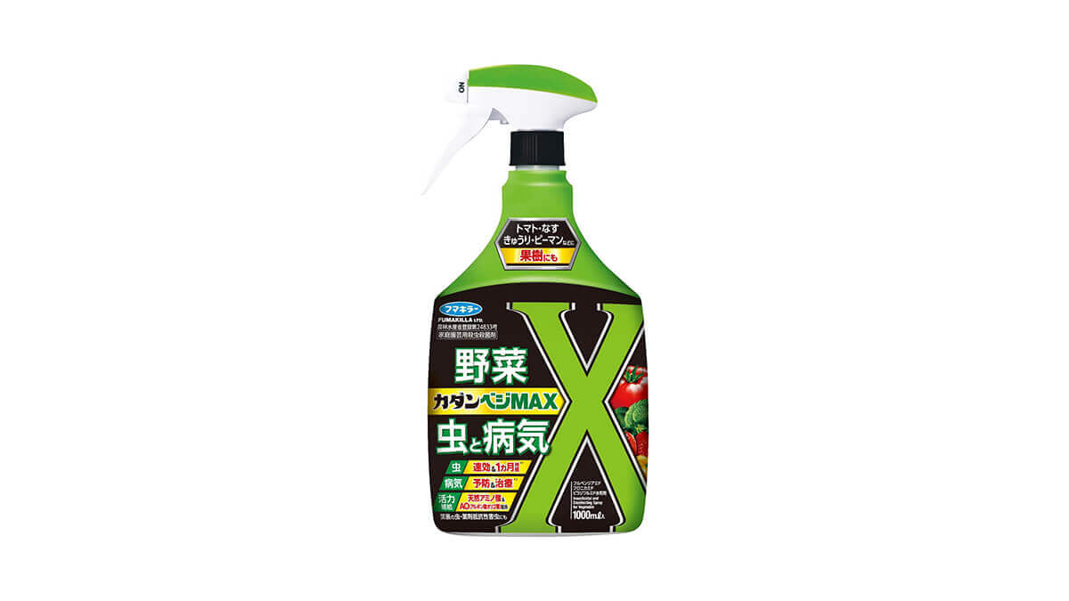 カダンベジMAX