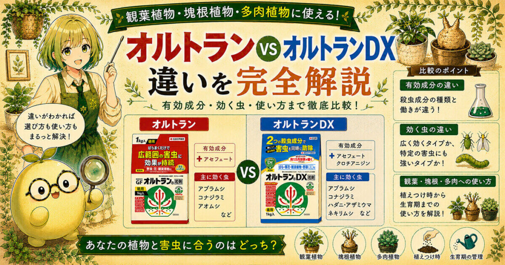 オルトランとオルトランDXの違いを解説するVS比較インフォグラフィック｜有効成分・効く虫・観葉植物・塊根植物・多肉植物への使い方を徹底比較