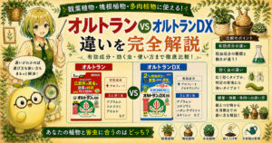 オルトランとオルトランDXの違いを解説するVS比較インフォグラフィック|有効成分・効く虫・観葉植物・塊根植物・多肉植物への使い方を徹底比較