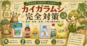 観葉植物・塊根植物・多肉植物のカイガラムシ完全対策|オルトランDX・アクテリック・ロハピ・コルト顆粒水和剤・マシン油乳剤の使い分けを解説するサムネイル画像