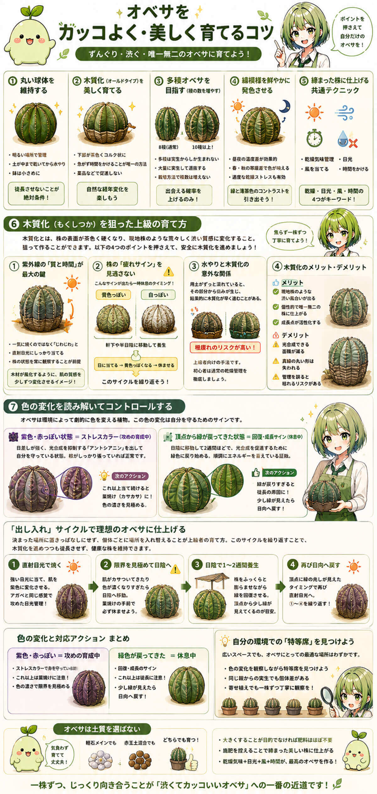 オベサをカッコよく・美しく育てるコツ 図解