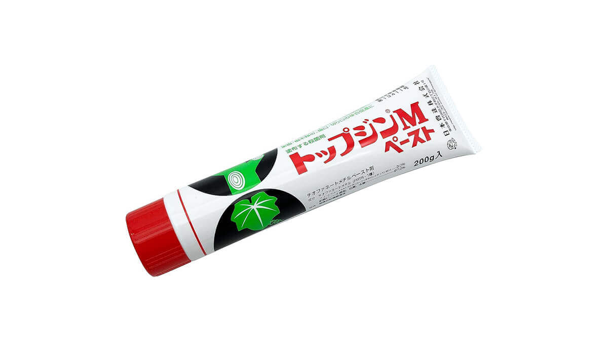 トップジンMペースト