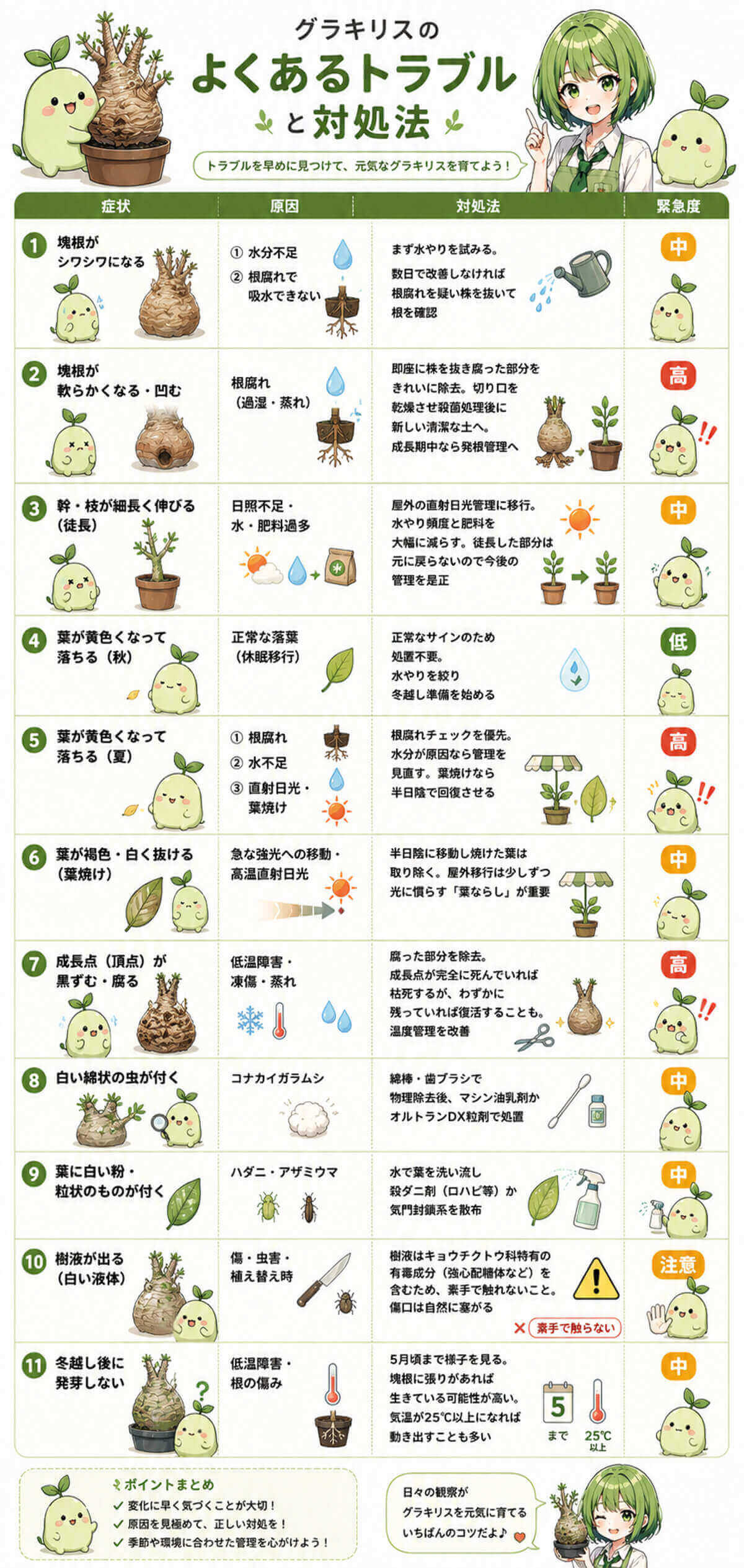 グラキリスのよくあるトラブルと対処法