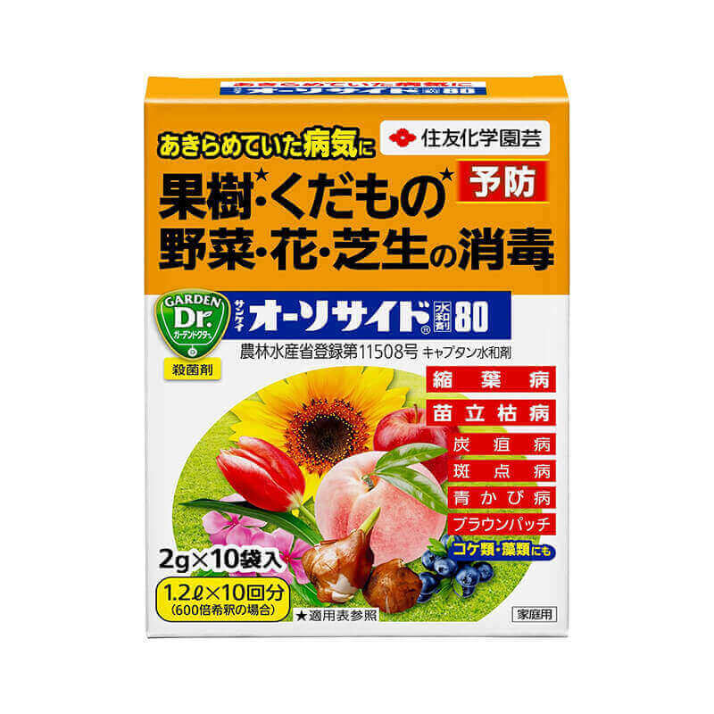 オーソサイド