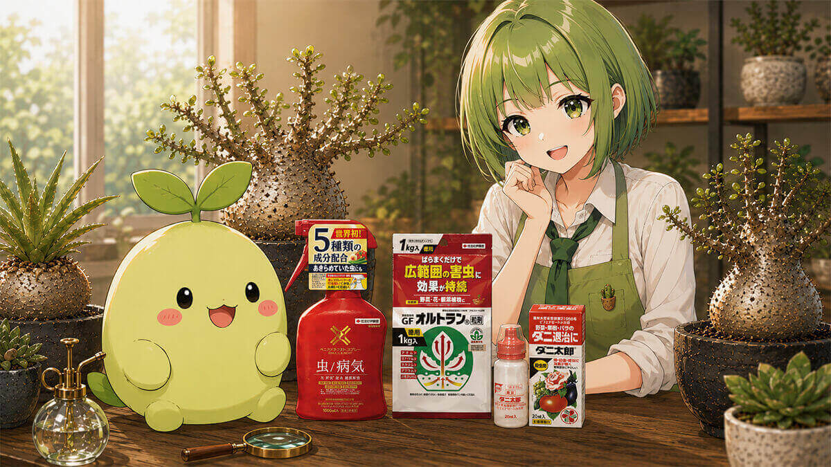塊根植物の害虫対策