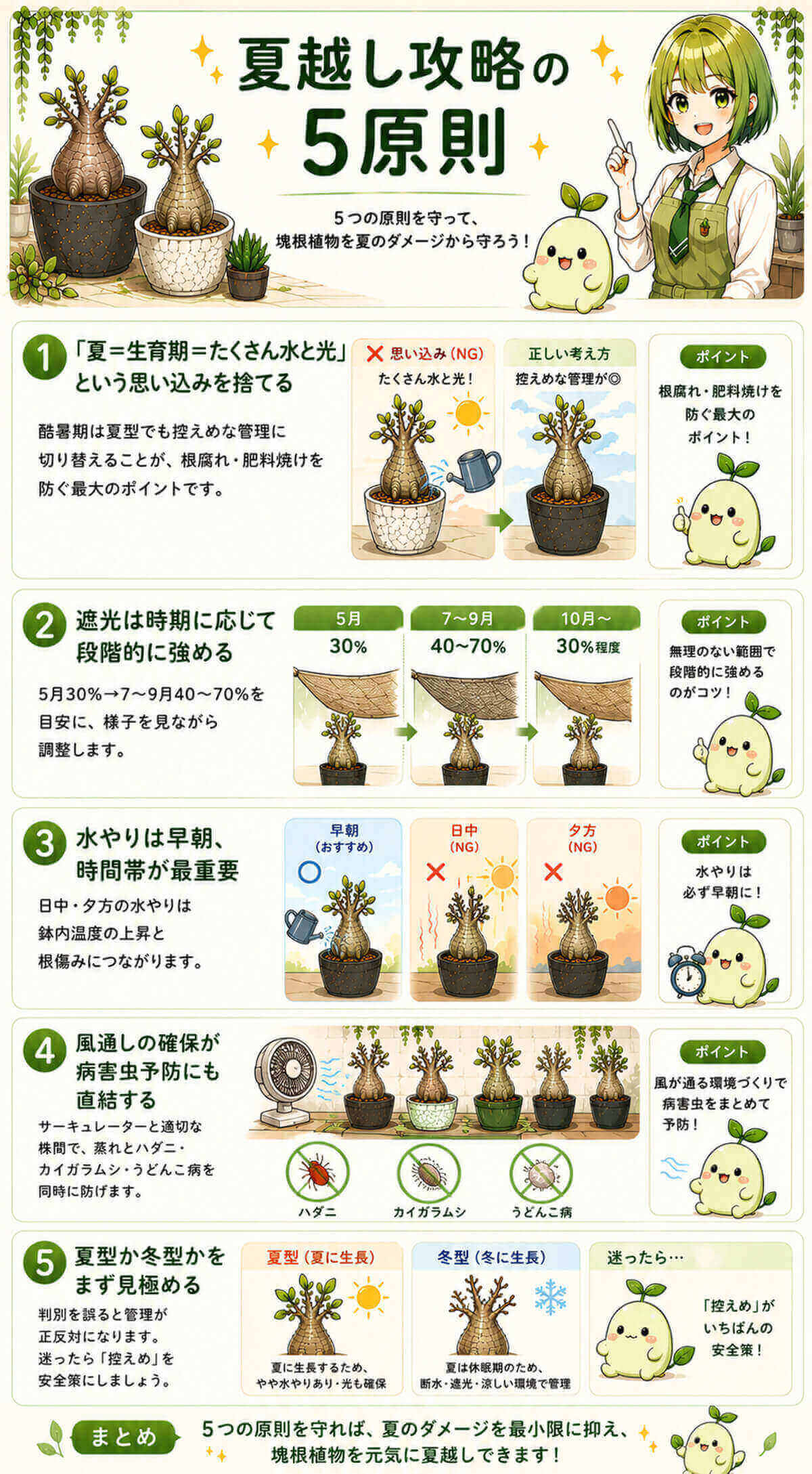 植物夏越し攻略の5原則