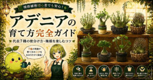 アデニアの育て方完全ガイド。グラウカ・グロボーサ・バリーなど代表7種の塊根株、種類の見分け方、塊根を楽しむコツ、水やり、用土、鉢と仕立て、季節管理の方法を解説