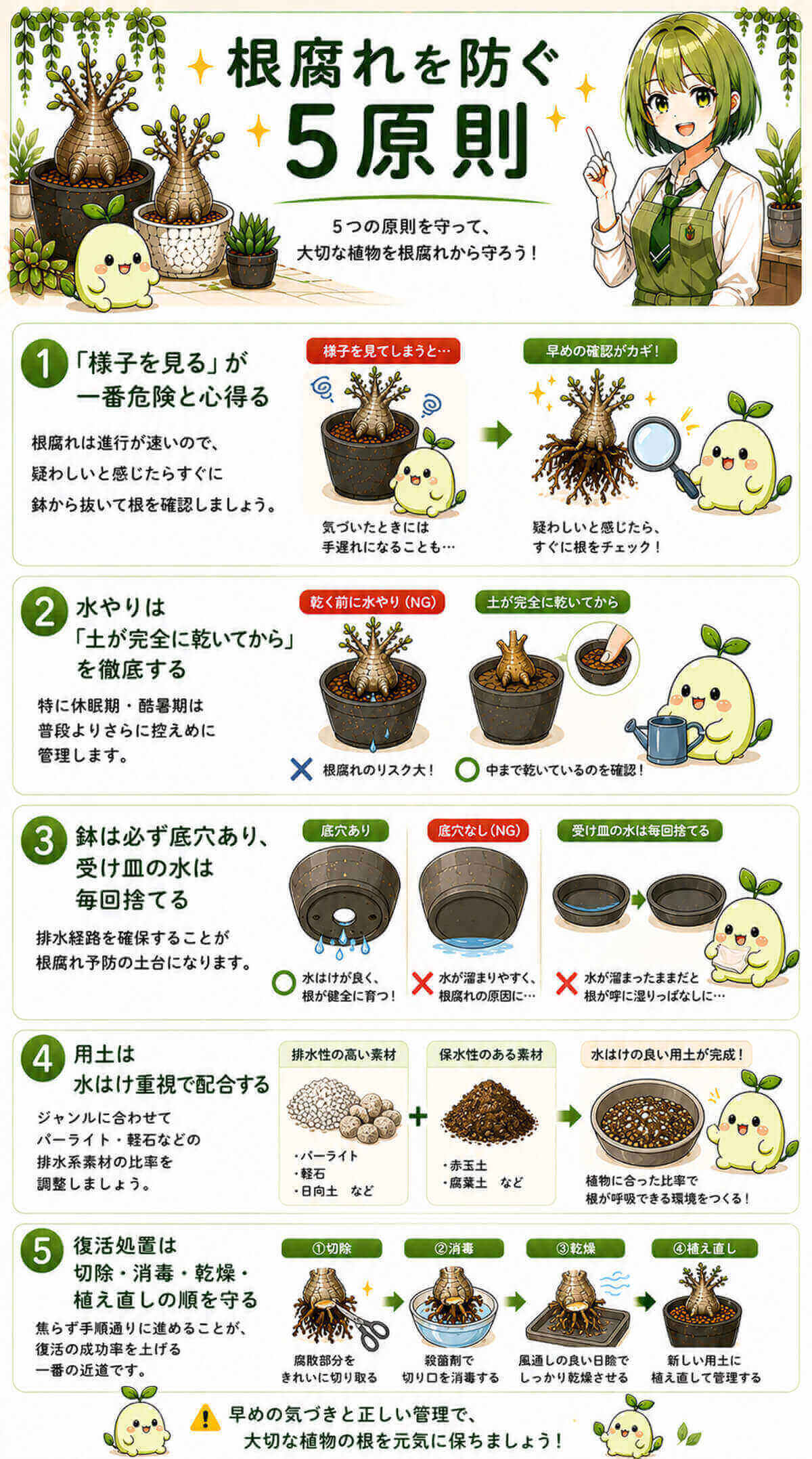 根腐れを防ぐ5原則