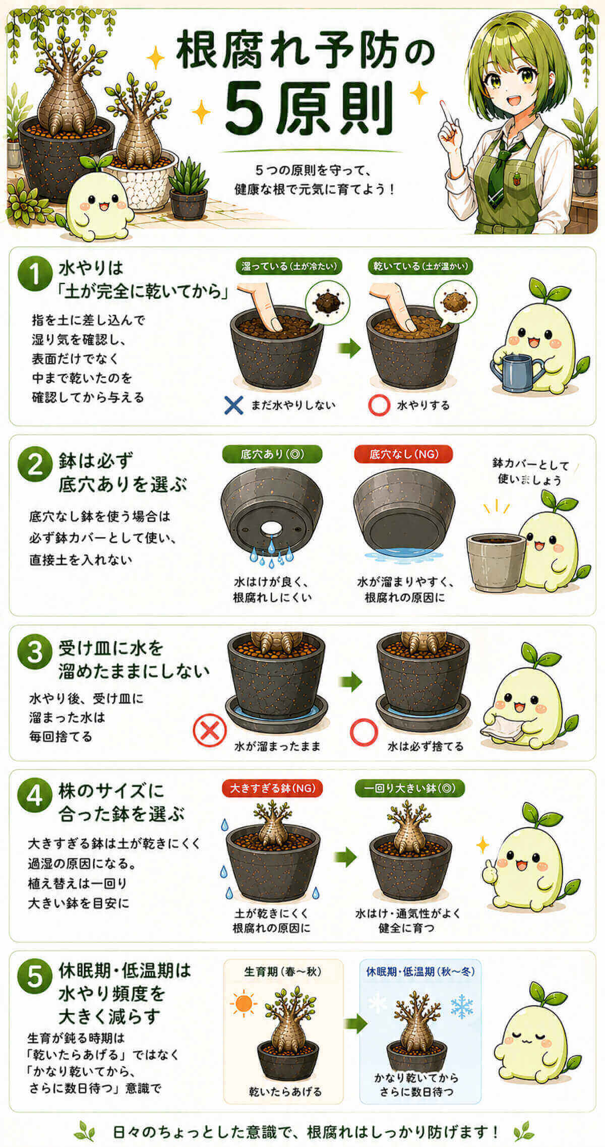 根腐れ予防の5原則