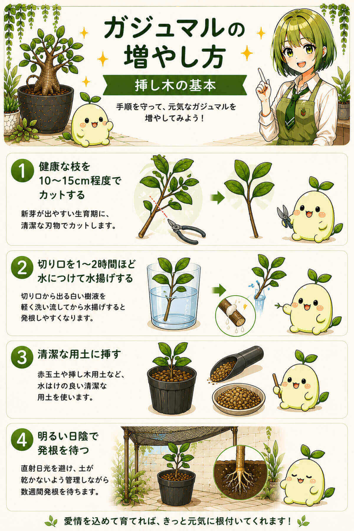 ガジュマルの育て方完全ガイド｜品種・気根の仕立て方・冬越しまで