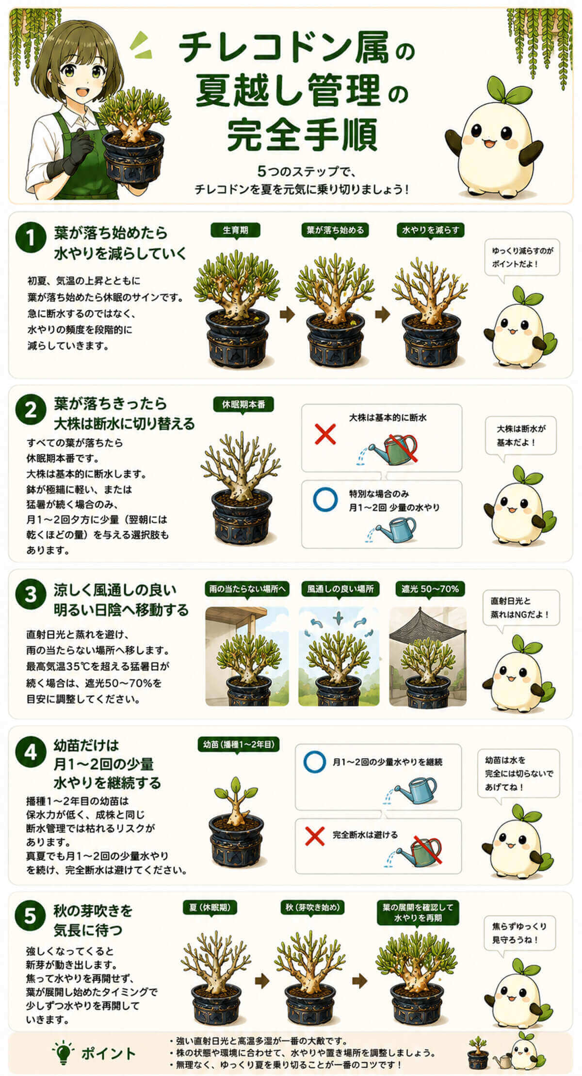 チレコドン属の夏越し管理手順 図解