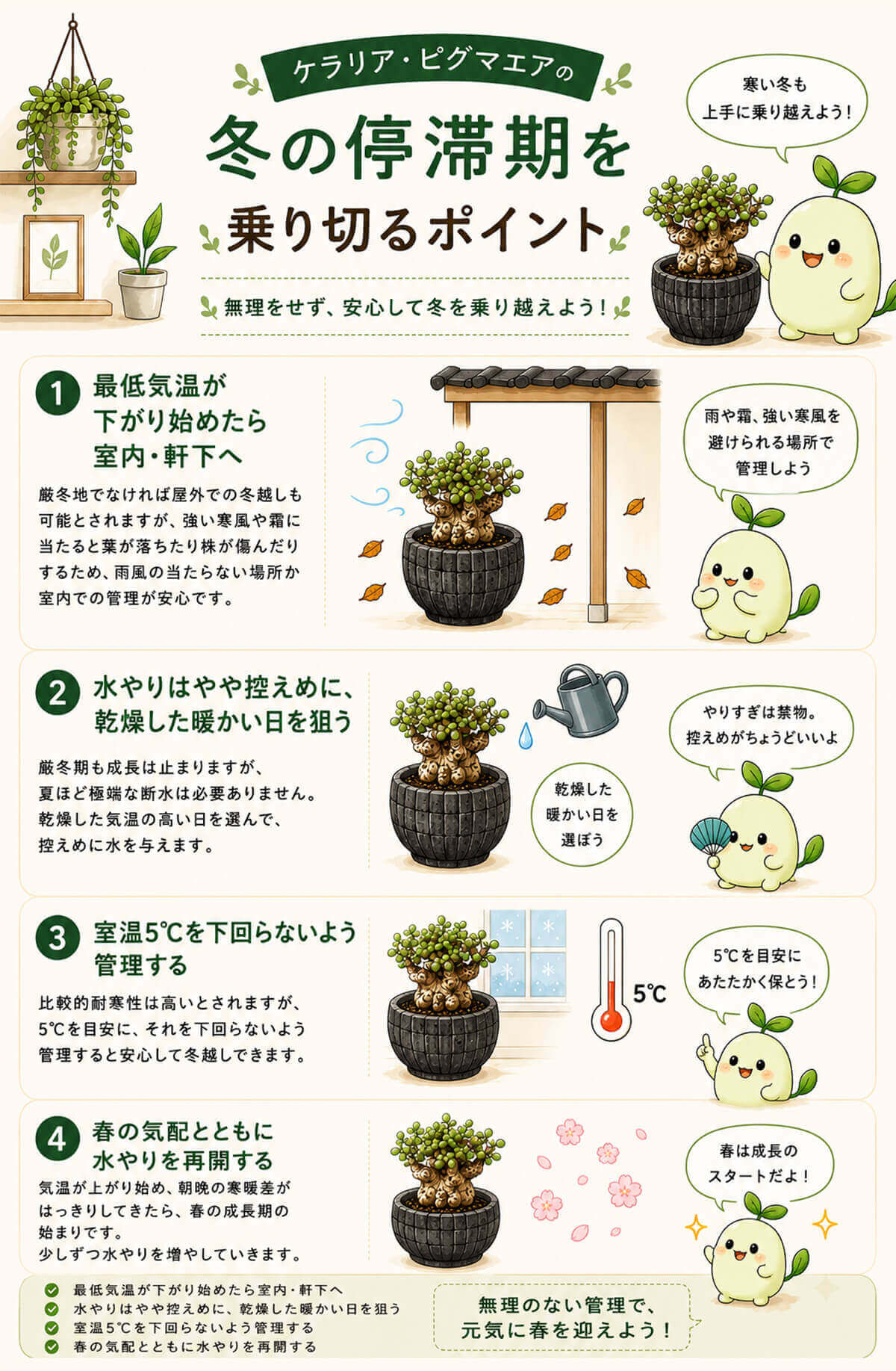 ケラリア・ピグマエアの冬の停滞期を乗り切るポイント