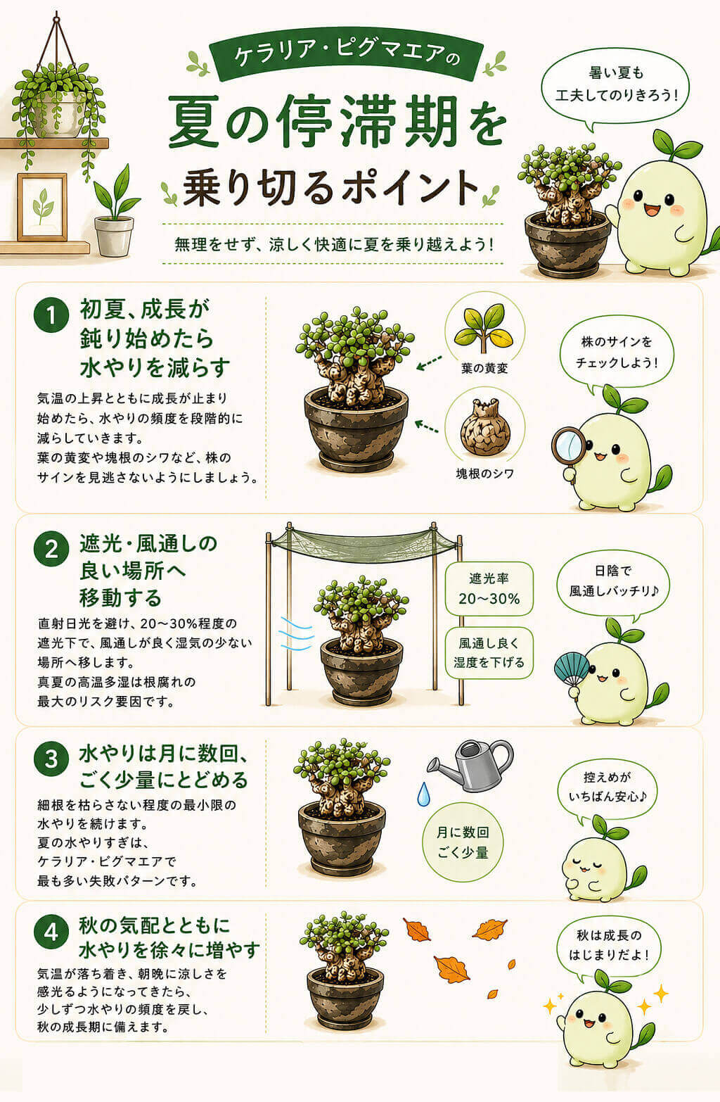 ケラリア・ピグマエアの夏の停滞期を乗り切るポイント
