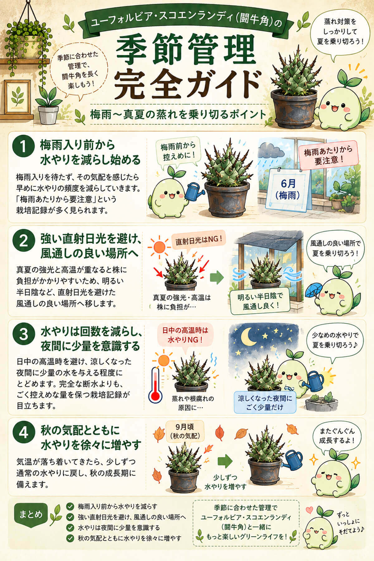 闘牛角(ユーフォルビア・スコエンランディ)の梅雨〜真夏の蒸れを乗り切るポイント
