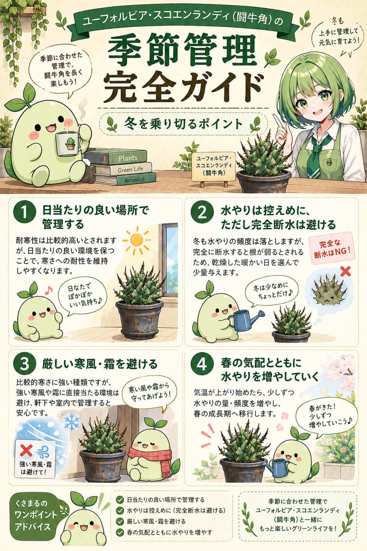 闘牛角(ユーフォルビア・スコエンランディ)の冬を乗り切るポイント